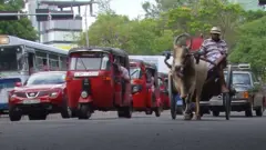 අවසාන භූමිතෙල් කරත්තය