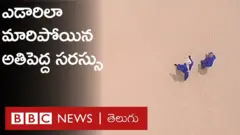 మాలి సరస్సు