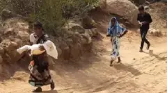 தமிழ்நாடு, பழங்குடிகள்