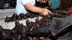 Mercado en Indonesia donde también se comercializan animales silvestres.