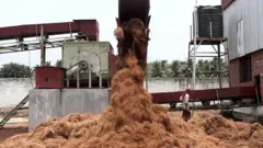 தென்னை நார் தொழிற்சாலை