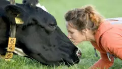 गाय को चूमती महिला