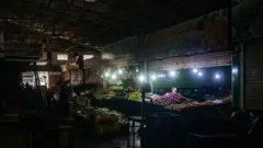 శ్రీలంక, విద్యుత్ సరఫరాలో అంతరాయం.