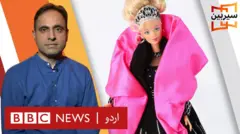 سیربین