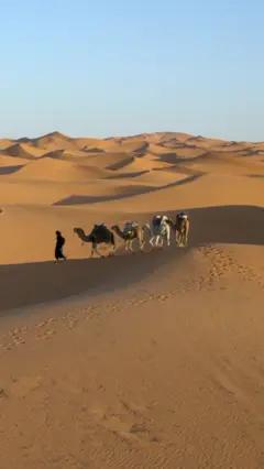 Na fotografiji se vidi pustinja, u kojoj čovek sa četiri kamile hoda.