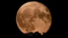 القمر الأزرق العملاق