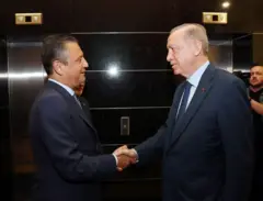 Erdogan Özel