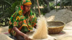 বাংলাদেশে স্বাধীনতার পর হতে খাদ্য উৎপাদন বেড়েছে তিনগুন