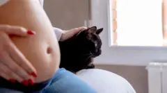 Una mujer embarazada consiente a un gato negro