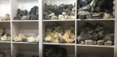 پاکستان