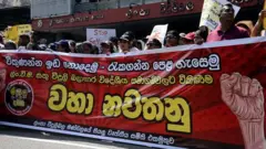 රජය විසින් පාර්ලිමේන්තුවට ඉදිරිපත් කර තිබෙන විදුලි බල පනත් කෙටුම්පතේ වගන්ති බොහොමයක් ආණ්ඩු ක්‍රම ව්‍යවස්ථාවට පටහැනි බැවින් ඒවා සම්මත කිරීමට අවශ්‍ය නම් පාර්ලිමේන්තුවේ තුනෙන් දෙකක බහුතරයකින් අනුමත වී ජනමත විචාරණයකින්ද අනුමත විය යුතු බවට තීන්දුවක් ලබා දෙන ලෙස ඉල්ලා මේ වන විට ශ්‍රේෂ්ඨාධිකරණය හමුවේ පෙත්සම් කිහිපයක් ඉදිරිපත් වී තිබේ.