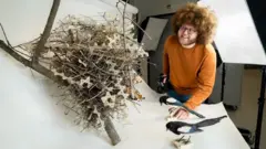 스파이크를 이용한 까치 둥지