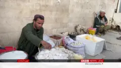 afghan