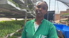 Agronomu Deborah Tuyishimire avuga ko ubu ari ubuhinzi budakenera  ubutaka  kandi  bukorerwa  ahantu  hatoya  cyane