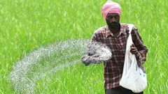 પંજાબ ચૂંટણી