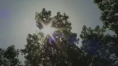 ఎండలు