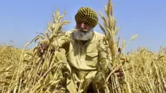 ਜਲਵਾਯੂ ਪਰਿਵਰਤਨ