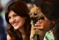 સુરતમાં 'હવે કૂતરું પાળવું હશે તો 10 લોકોની સહી જોઈશે', નિયમોથી કેમ થઈ રહ્યો છે વિવાદ?