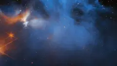 الحرباء 1