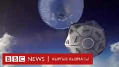 Капсула