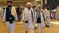 طالبان