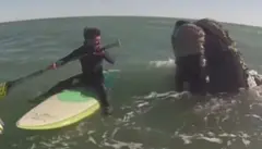 ሓምበስቲ ኣርጀንቲና 