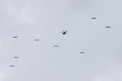 سرب من الطيور يحلق نهاراً أسفل مروحية أباتشي إسرائيلية على الجانب الإسرائيلي من الحدود مع لبنان، وسط تصاعد التوتر بين حزب الله المدعوم من إيران وإسرائيل، والصراع الأمريكي الإسرائيلي مع إيران