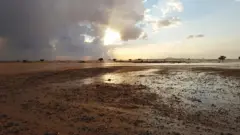કમોસમી વરસાદ