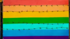 무지개색 깃발과 철조망 그림