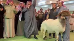 په کویت کې یو ګډ د "هیلۍ" په نامه یو ګډ په بولۍ کې ان تر ۴۰ زرو کویتي دینارو (۱۳۱ زره امریکايي ډالرو) ورسېد او څښتن یې دا بیه هم رد کړه.