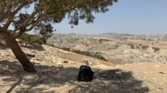 يظهر في الصورة أبو عماد من الخلف مستظلاً بشجرة، ومرتدياً زياً تقليدياً بلون أسود وعلى رأسه الكوفية الفلسطينية، بينما ينظر إلى الأمام تجاه القدس.