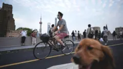 Lockdown Shanghai