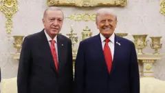 Türkiyənin Prezidenti Recep Tayyip Erdoğan qara kostyumdadır və ABŞ Prezidenti Donald Trampla yanaşı dayanıblar. Tramp Erdoğana nisbətən daha çox gülümsəyir və kostyumunun sinəsində Birləşmiş Ştatlar bayrağı ilə yanaşı qırıcı nişanı taxılıb.