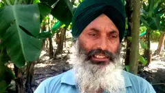ਬਲਵੀਰ ਸਿੰਘ