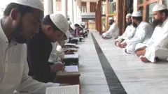 मदरसा