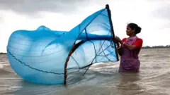 પ્રતીકાત્મક તસવીર
