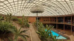 Plantas junto a lo que parece ser una piscina, bajo una cúpula translúcida. 