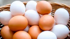 வெள்ளையா அல்லது பழுப்பா எந்த நிற முட்டை சிறந்தது? 