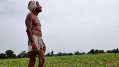 આ વર્ષે ચોમાસા પર ભાર? અલ નીનો બનશે તો તેની શું અસર થશે? ગુજરાત ખેતી પાણી ચોમાસું ઉનાળો ગરમી, પાણી ખેતર ખેડૂત