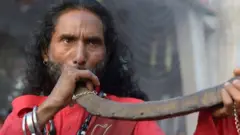 ਮੇਲਾ ਚਿਰਾਗਾਂ ਦਾ