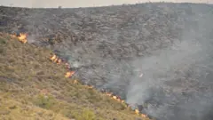 Balaa ibiddaa