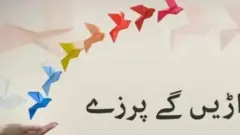 آمنہ مفتی کا کالم اڑیں گے پرزے