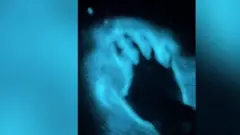 সাগরের ঢেউয়ে এ কিসের আলো?