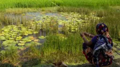 বড়শি দিয়ে মাছ ধরা