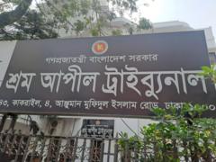ট্রাইব্যুনাল
