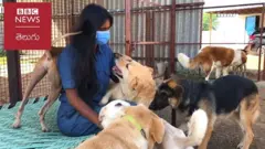 స్వాతి