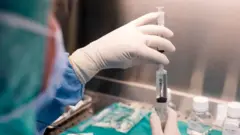 Personal sanitario con guantes blancos y una jeringa.