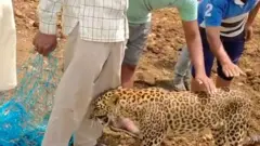 சிறுத்தையோடு செல்ஃபி