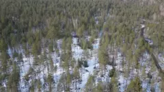 Terreno nevado con un bosque