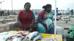 சென்னை மீனவர்கள்